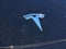 2020 Tesla Model Y Long Range Dual Motor All-Wheel Drive