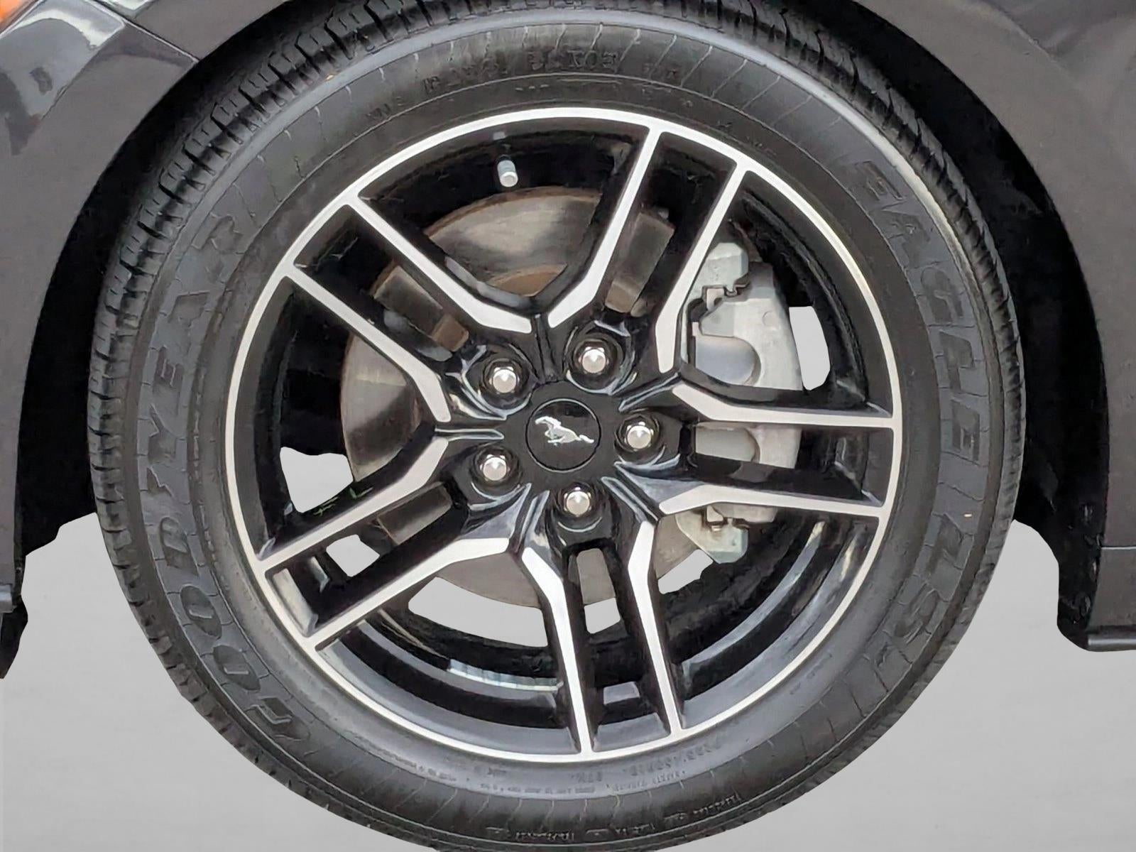 2023 Ford Mustang EcoBoost