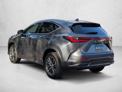 2025 Lexus NX 350 Premium AWD