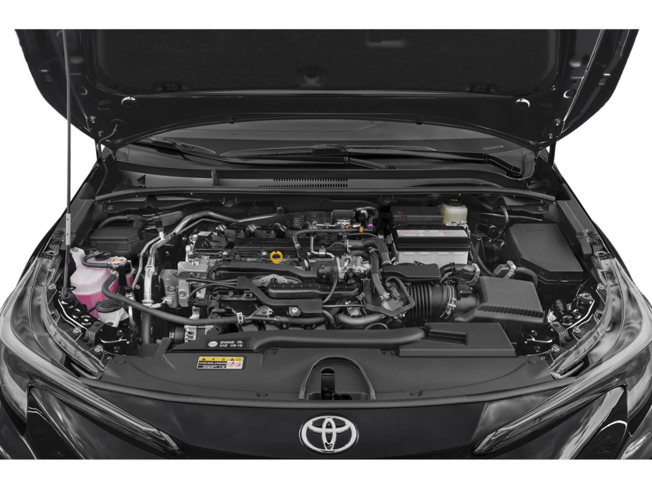 2023 Toyota Corolla XSE CVT (Natl)