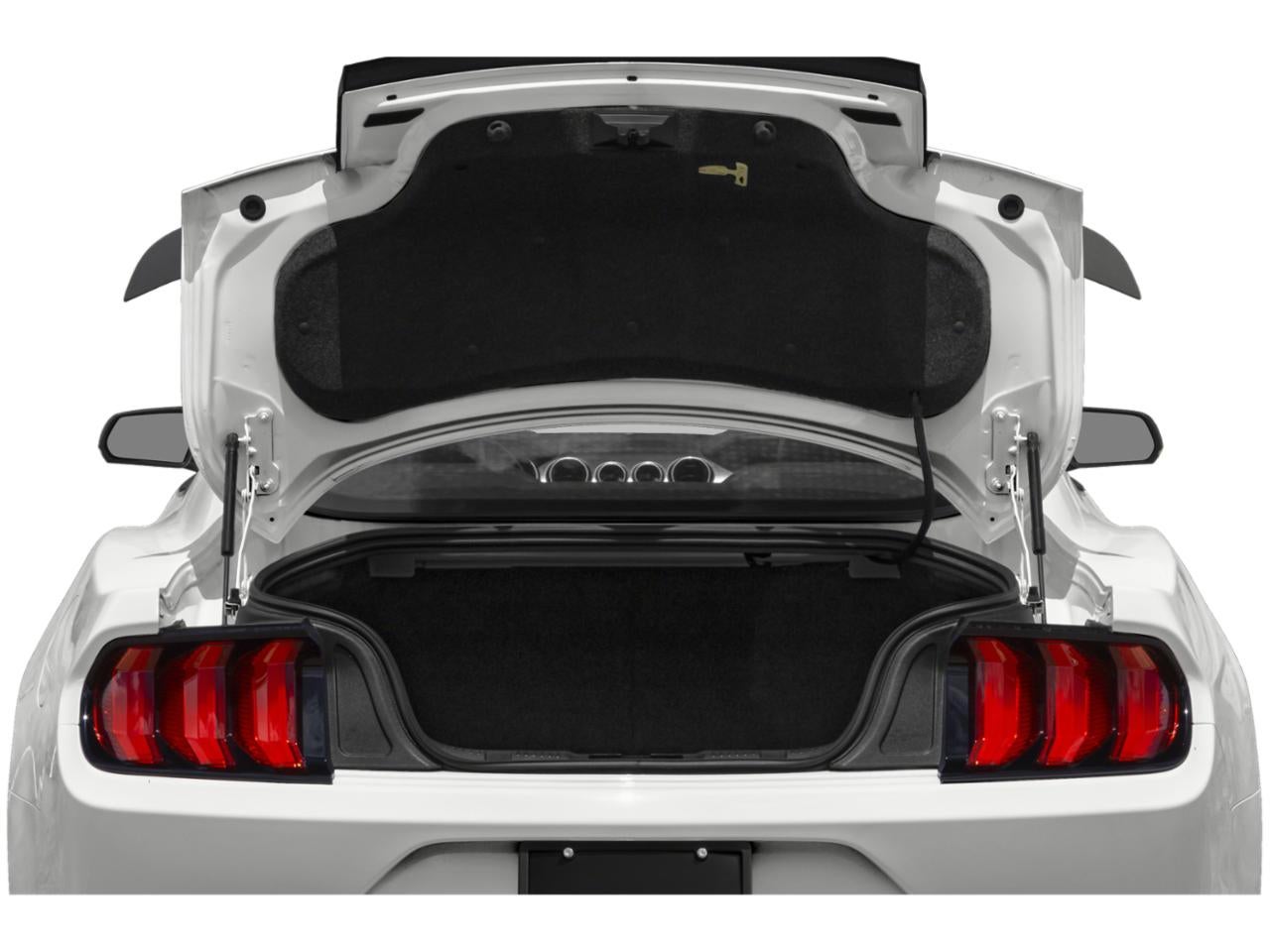 2021 Ford Mustang Mach 1 Fastback