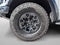 2024 Ford F-150 Raptor 4WD SuperCrew 5.5' Box