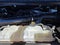 2024 Ford Expedition Max XLT 4x4