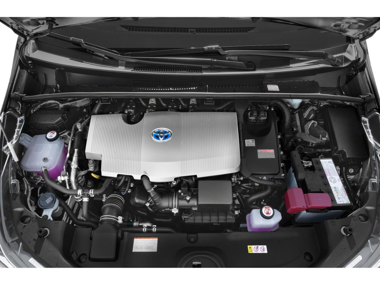 2021 Toyota Prius XLE (Natl)