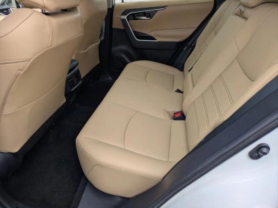 2019 Toyota RAV4 XLE Premium FWD (Natl)