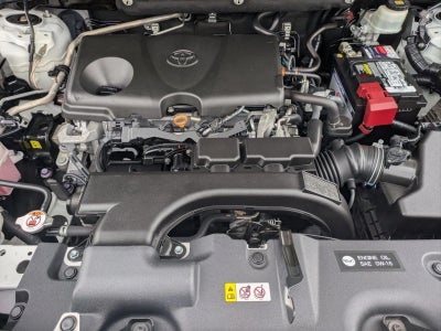 2019 Toyota RAV4 XLE Premium FWD (Natl)
