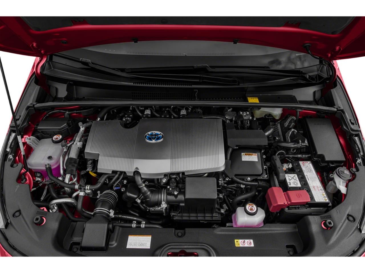 2019 Toyota Prius Prime Plus (Natl)