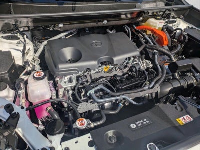 2025 Toyota RAV4 Hybrid LE AWD (Natl)