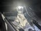 2020 Toyota C-HR XLE FWD (Natl)