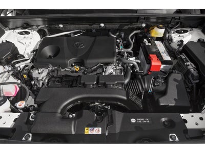 2020 Toyota RAV4 XLE AWD (Natl)