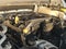 2024 Jeep Gladiator Mojave X 4x4