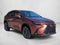 2026 Lexus NX Luxury AWD