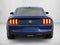 2015 Ford Mustang 2dr Fastback EcoBoost Premium