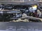 2022 RAM 1500 Big Horn 4x2 Crew Cab 5'7" Box
